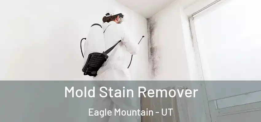  Mold Stain Remover Eagle Mountain - UT