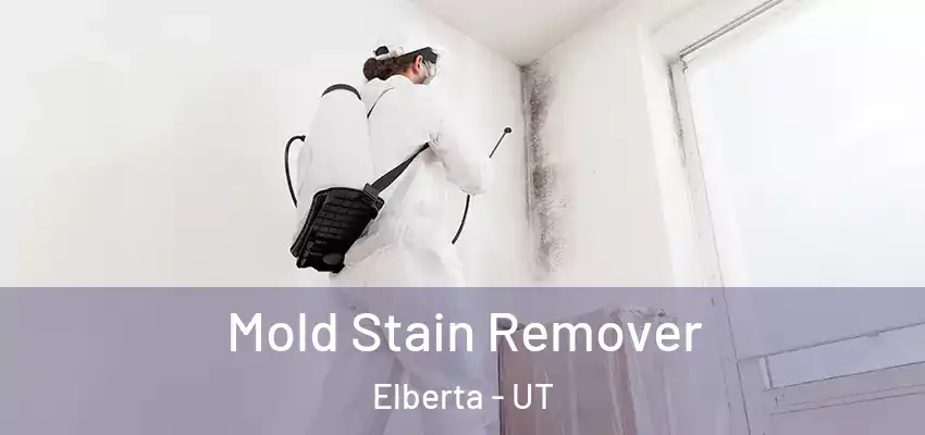  Mold Stain Remover Elberta - UT