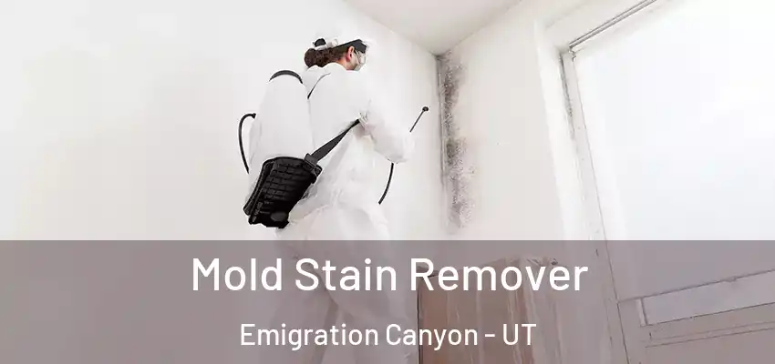  Mold Stain Remover Emigration Canyon - UT