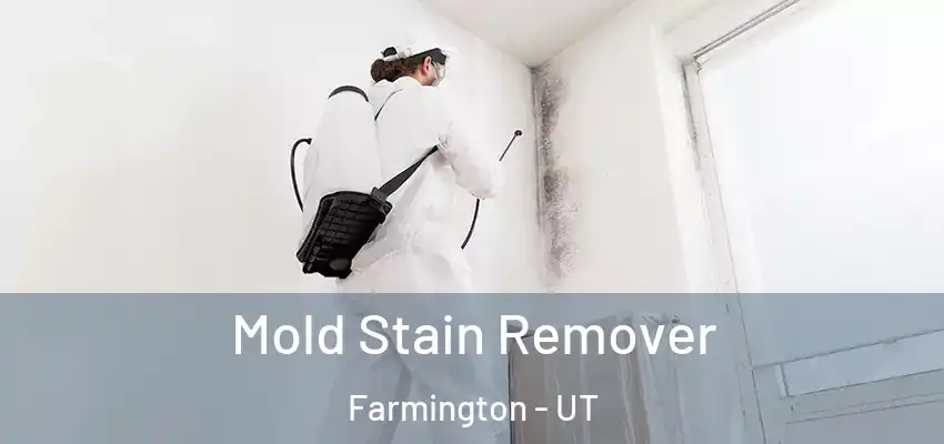  Mold Stain Remover Farmington - UT