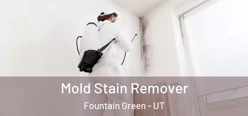  Mold Stain Remover Fountain Green - UT