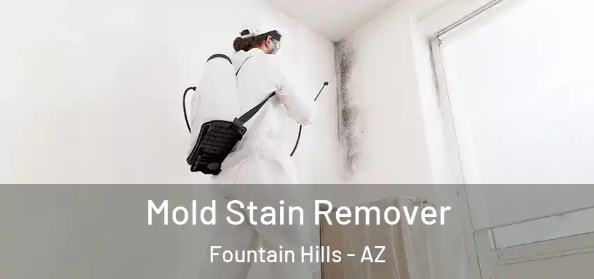  Mold Stain Remover Fountain Hills - AZ