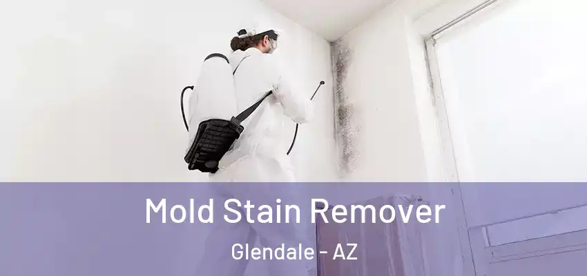  Mold Stain Remover Glendale - AZ