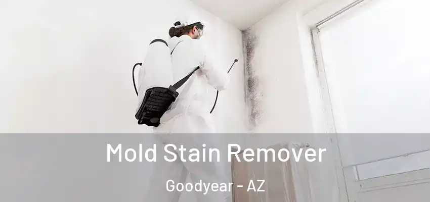  Mold Stain Remover Goodyear - AZ