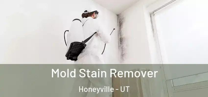  Mold Stain Remover Honeyville - UT
