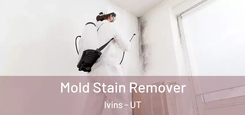  Mold Stain Remover Ivins - UT