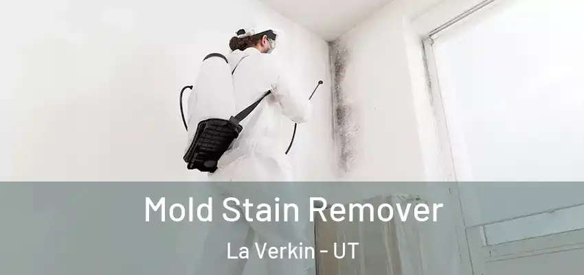 Mold Stain Remover La Verkin - UT