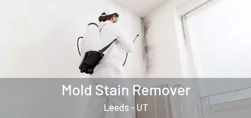  Mold Stain Remover Leeds - UT