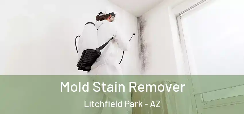 Mold Stain Remover Litchfield Park - AZ