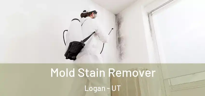  Mold Stain Remover Logan - UT