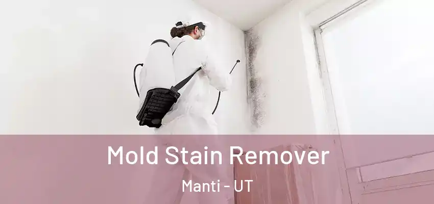  Mold Stain Remover Manti - UT
