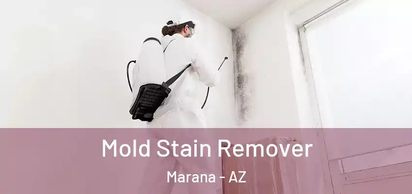  Mold Stain Remover Marana - AZ