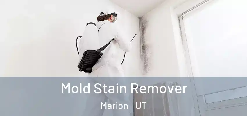  Mold Stain Remover Marion - UT
