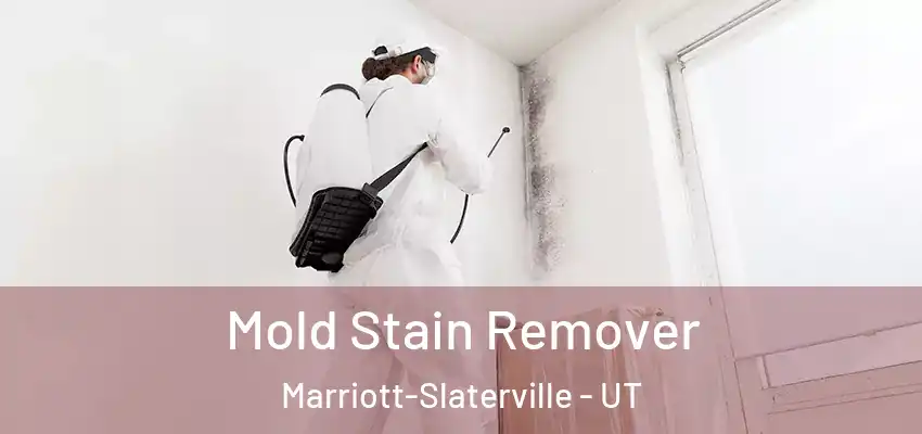  Mold Stain Remover Marriott-Slaterville - UT