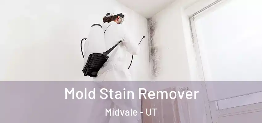 Mold Stain Remover Midvale - UT