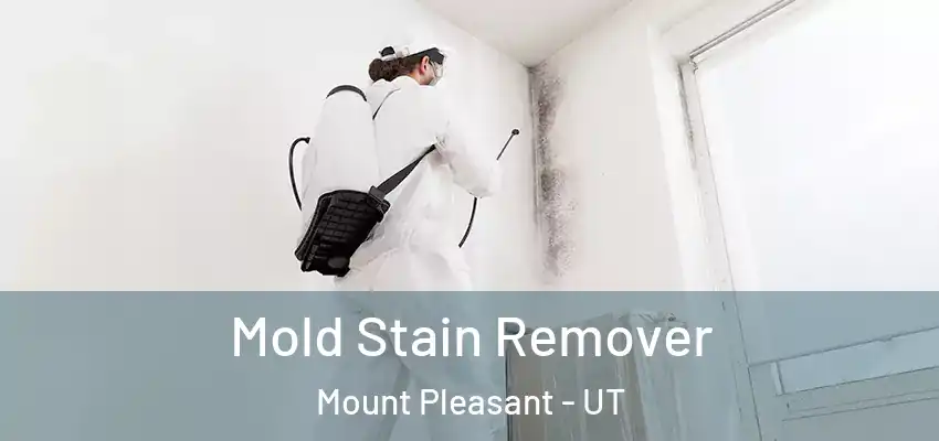  Mold Stain Remover Mount Pleasant - UT