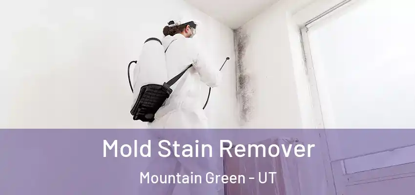  Mold Stain Remover Mountain Green - UT