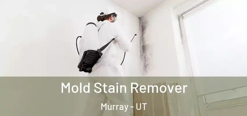  Mold Stain Remover Murray - UT
