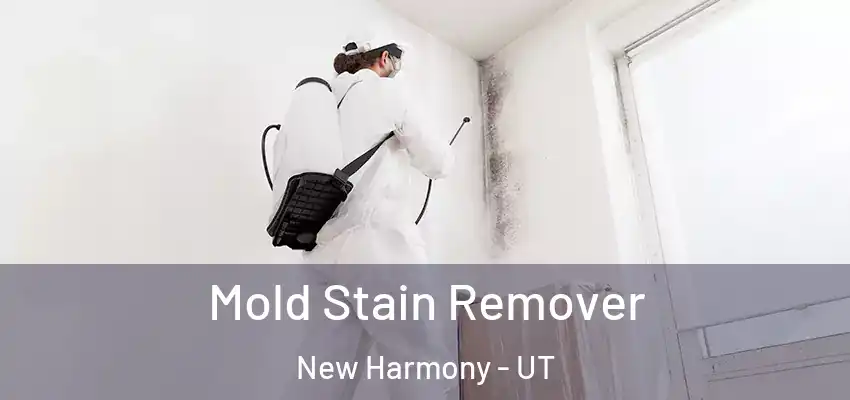 Mold Stain Remover New Harmony - UT