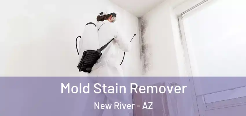  Mold Stain Remover New River - AZ