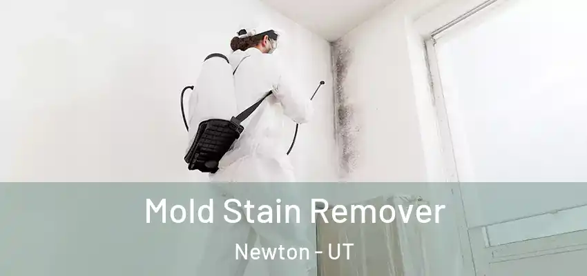  Mold Stain Remover Newton - UT