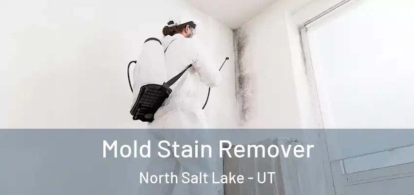  Mold Stain Remover North Salt Lake - UT