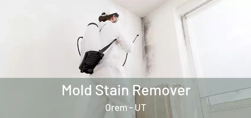 Mold Stain Remover Orem - UT