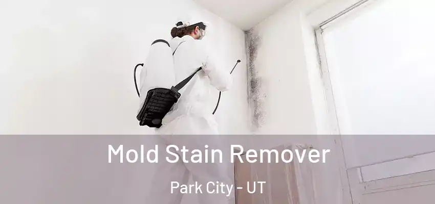  Mold Stain Remover Park City - UT