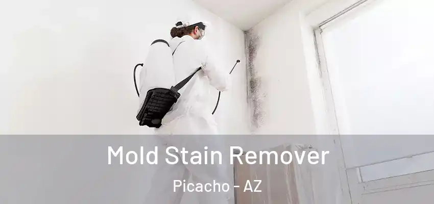 Mold Stain Remover Picacho - AZ
