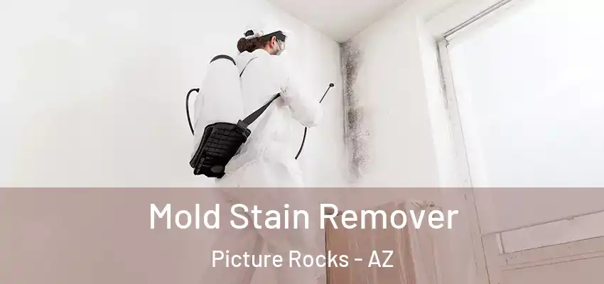 Mold Stain Remover Picture Rocks - AZ