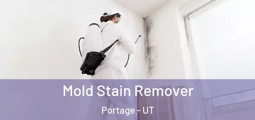  Mold Stain Remover Portage - UT