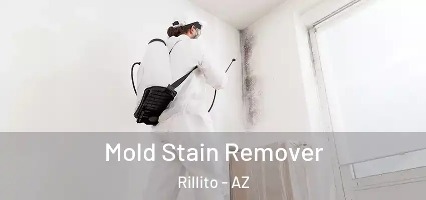 Mold Stain Remover Rillito - AZ