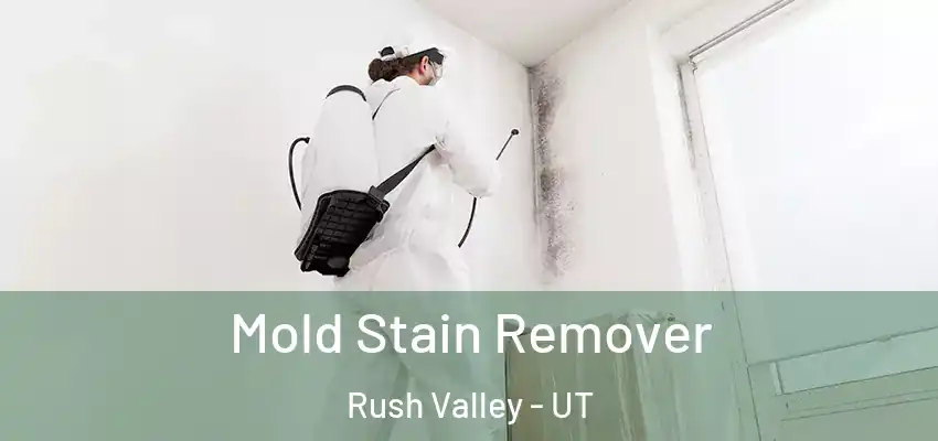  Mold Stain Remover Rush Valley - UT