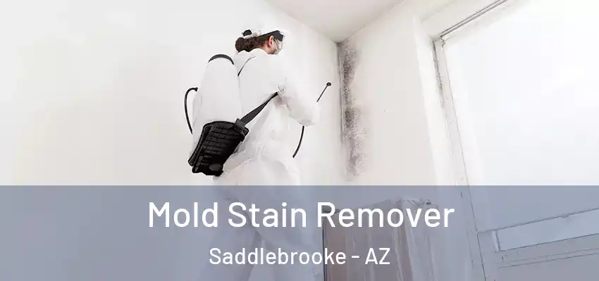  Mold Stain Remover Saddlebrooke - AZ