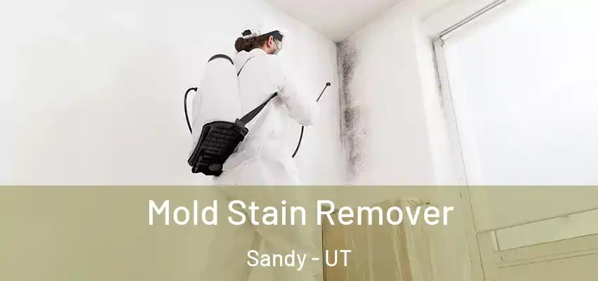 Mold Stain Remover Sandy - UT