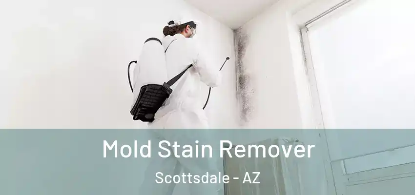 Mold Stain Remover Scottsdale - AZ