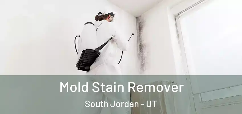  Mold Stain Remover South Jordan - UT