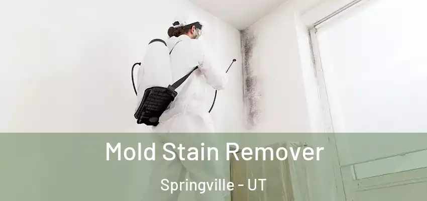  Mold Stain Remover Springville - UT