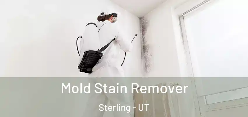  Mold Stain Remover Sterling - UT