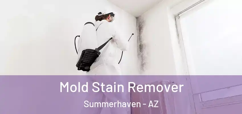 Mold Stain Remover Summerhaven - AZ