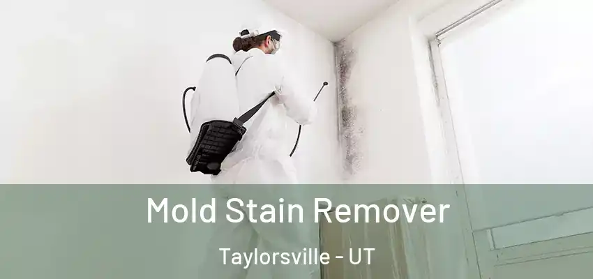  Mold Stain Remover Taylorsville - UT