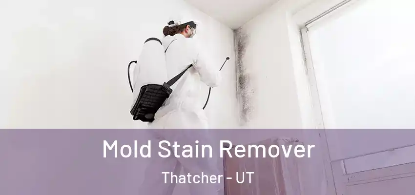  Mold Stain Remover Thatcher - UT