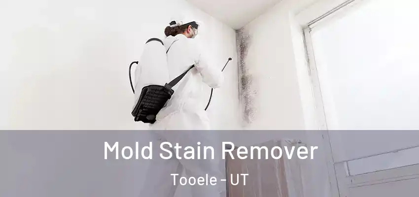  Mold Stain Remover Tooele - UT