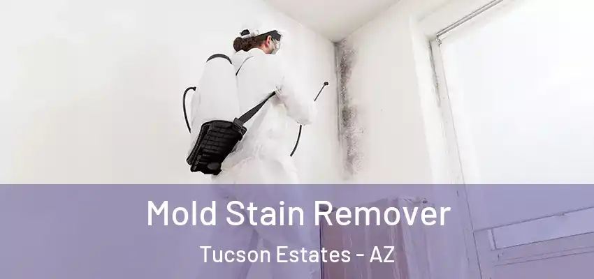 Mold Stain Remover Tucson Estates - AZ
