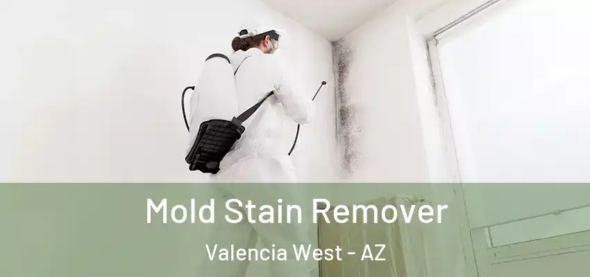 Mold Stain Remover Valencia West - AZ