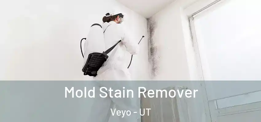  Mold Stain Remover Veyo - UT