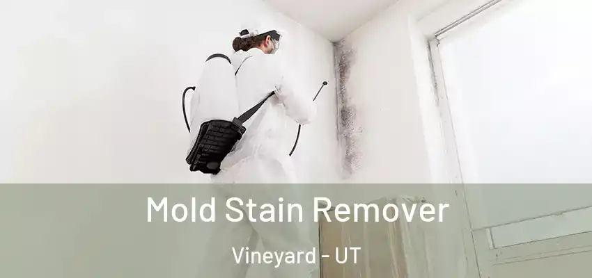  Mold Stain Remover Vineyard - UT