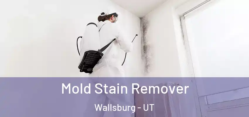 Mold Stain Remover Wallsburg - UT