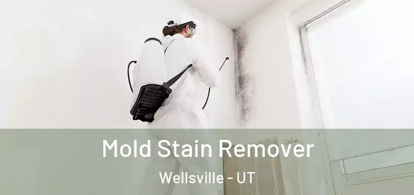  Mold Stain Remover Wellsville - UT