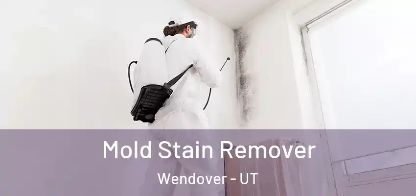 Mold Stain Remover Wendover - UT